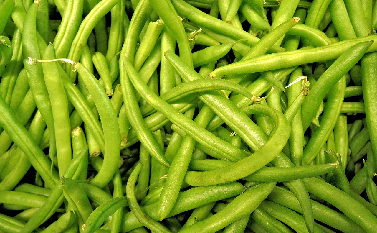 green-beans-1018624_1280.jpg