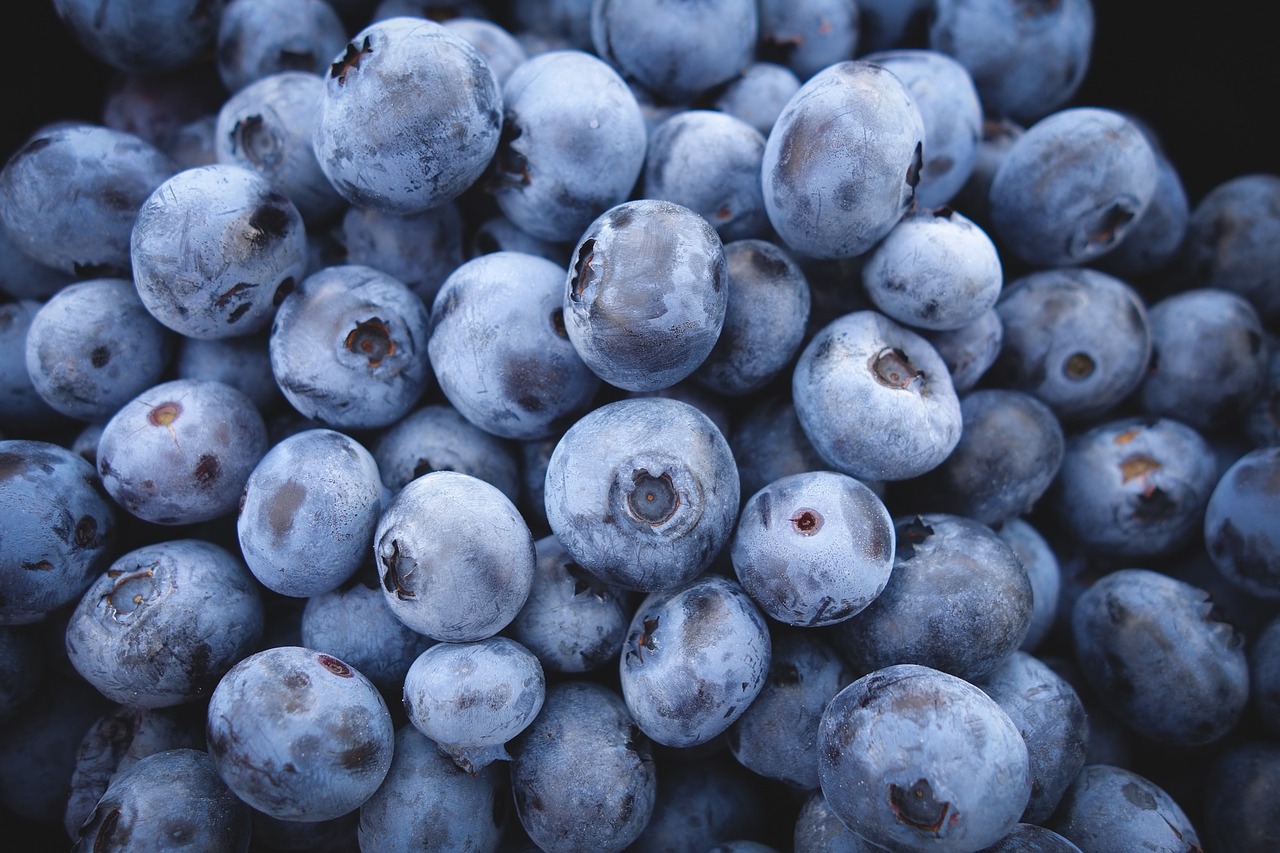blueberries-690072_1280.jpg