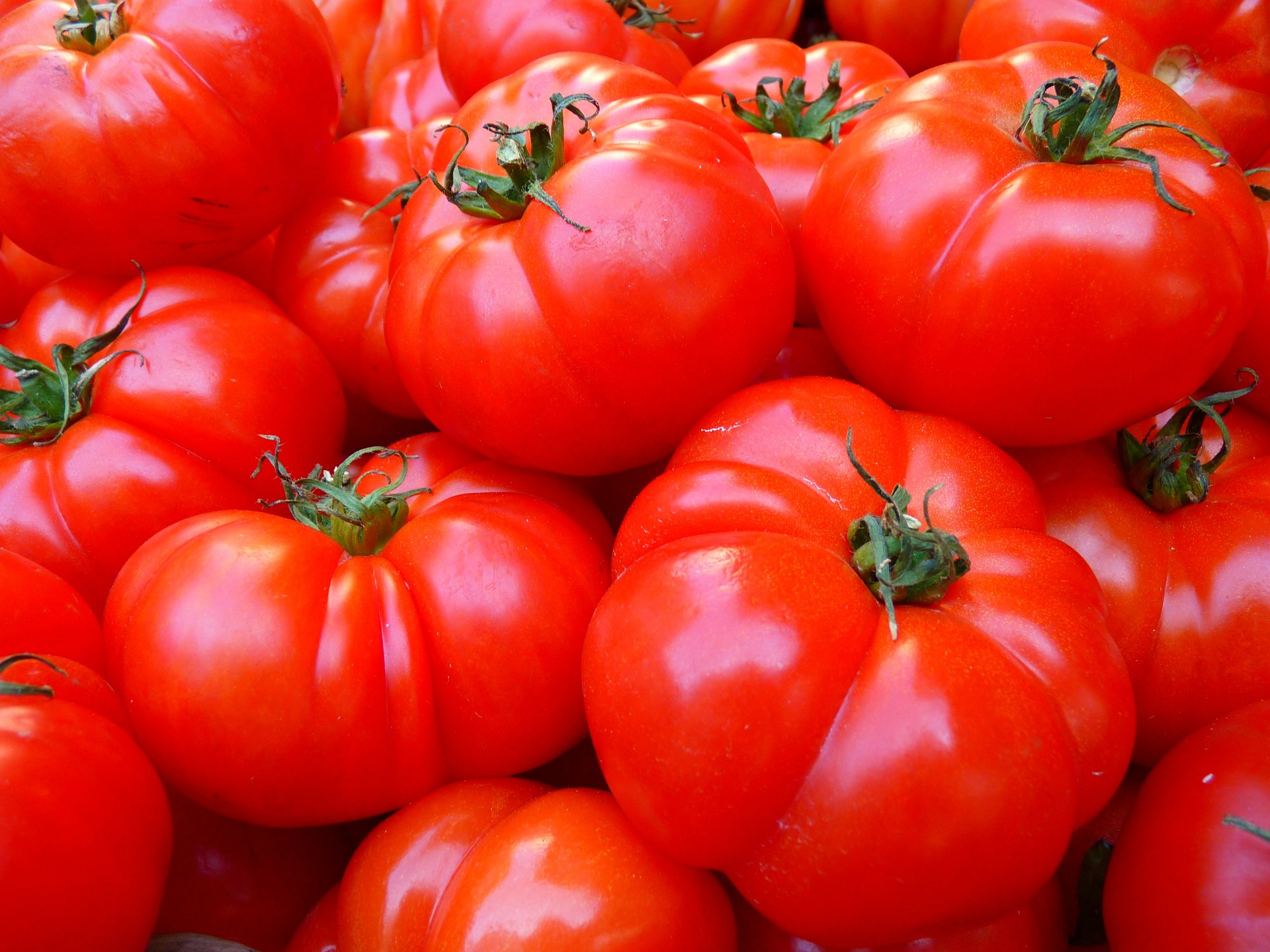 tomatoes-5356_1920.jpg