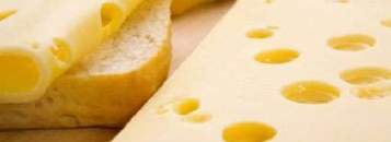 치즈.jpg